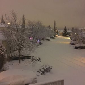 Meet your Posher, Charlene